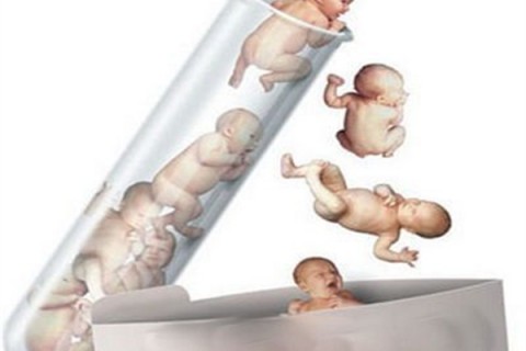 http://zhongshan.dacou.net/post/194.html|中山新闻中心